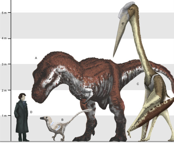  :    Balaur bondoc, Tyrannosaurus rex, Arambourgiania philadelphiae