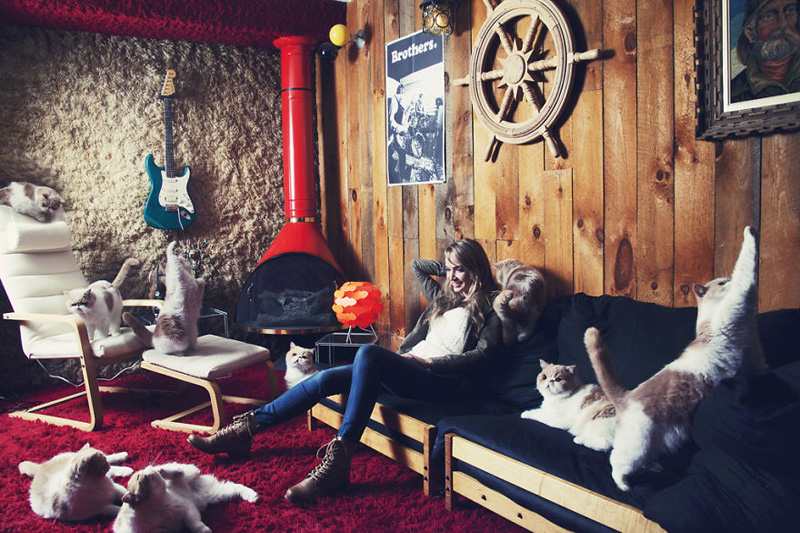 Сколько кошек нужно для счастья?