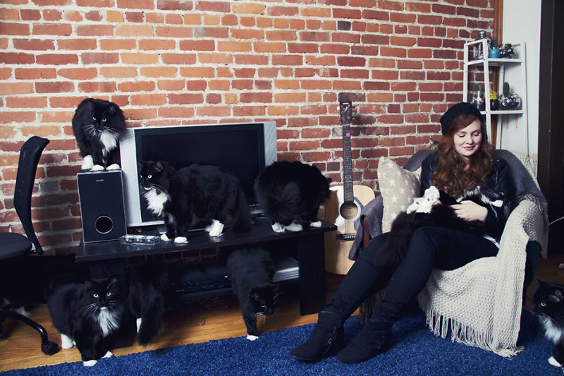 Сколько кошек нужно для счастья?