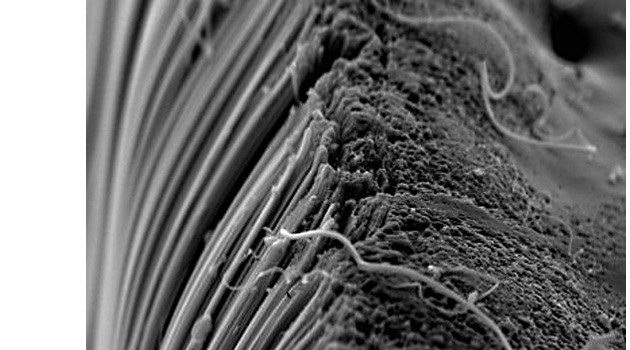 Nanotube Buckypaper, , ,  