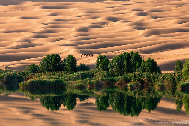    (Nam In Geun), National Geographic's Photo Contest 2010