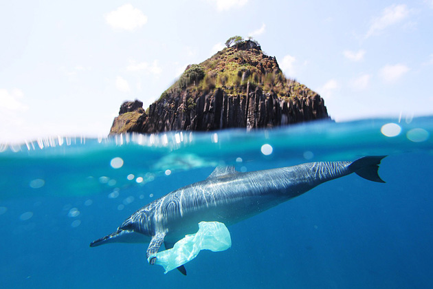   (Joao Vianna), National Geographic's Photo Contest 2010