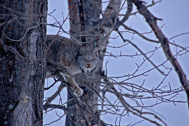   (Janet Chester), National Geographic's Photo Contest 2010