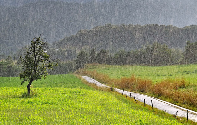 3) LANDSCAPE IN THE RAIN/ Mihaly Attila Kazsuba