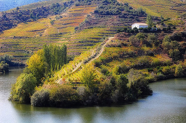 Douro Valley