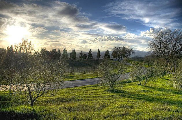 Brunelloa di Montalcino