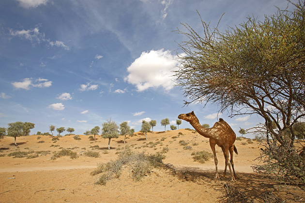 Banyan Tree Al Wadi