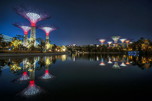 Supertrees