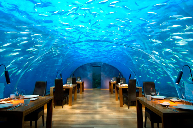 Ithaa, Hilton Maldives Resort & Spa, 
