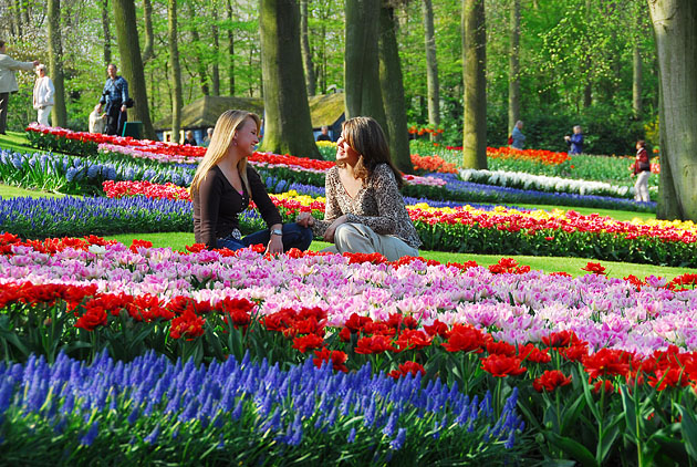 Keukenhof