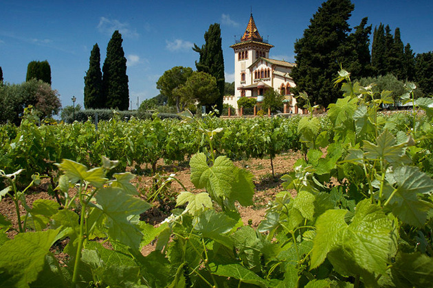 Ribera del Duero