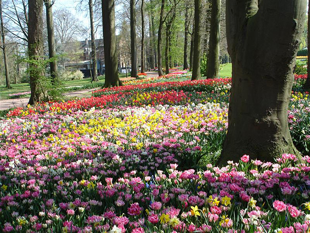 Floralia Brussels