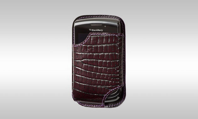 BlackBerry Torch Cases by Chapurin