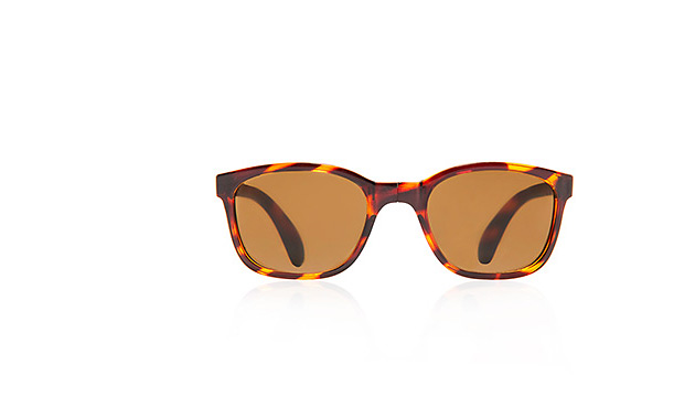 Sunpocket Sunglasses