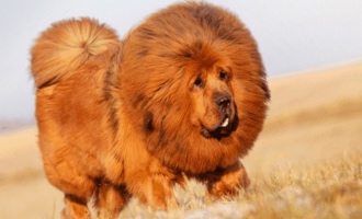 ����� ������� � ����� �������� ������ � ����