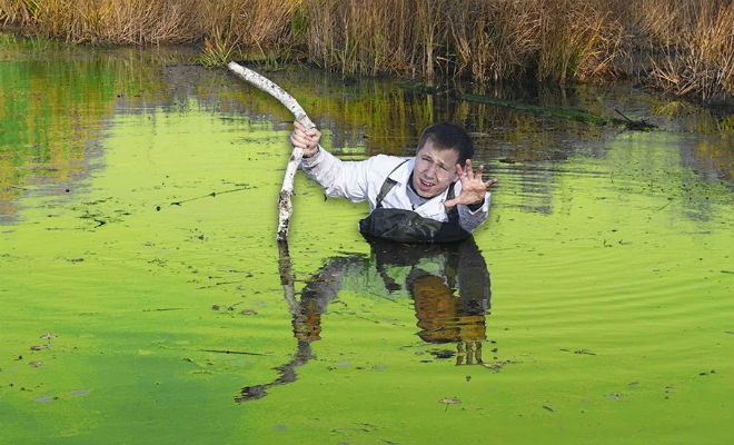 Люди на болоте на русском. Челв болот. Фотосессия в болоте. Человек болт. Зыбкое болото.