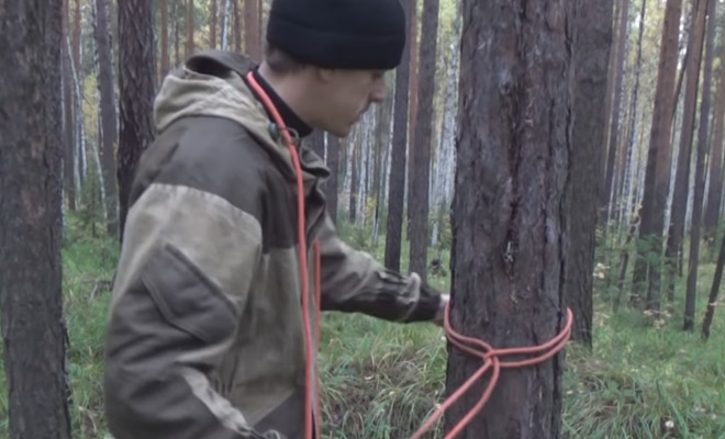 Залезаем на любое дерево с помощью веревки: видео