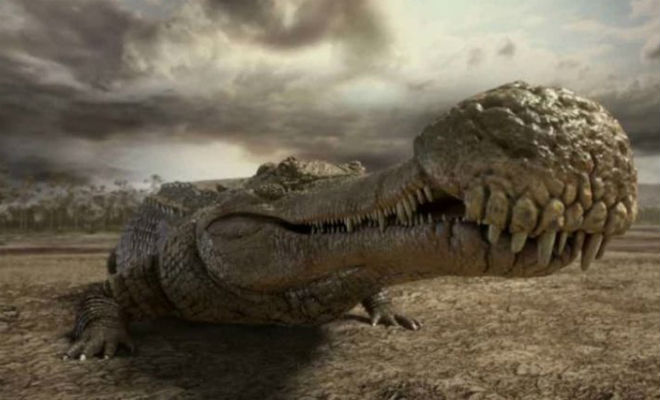 Самый большой крокодил в истории планеты