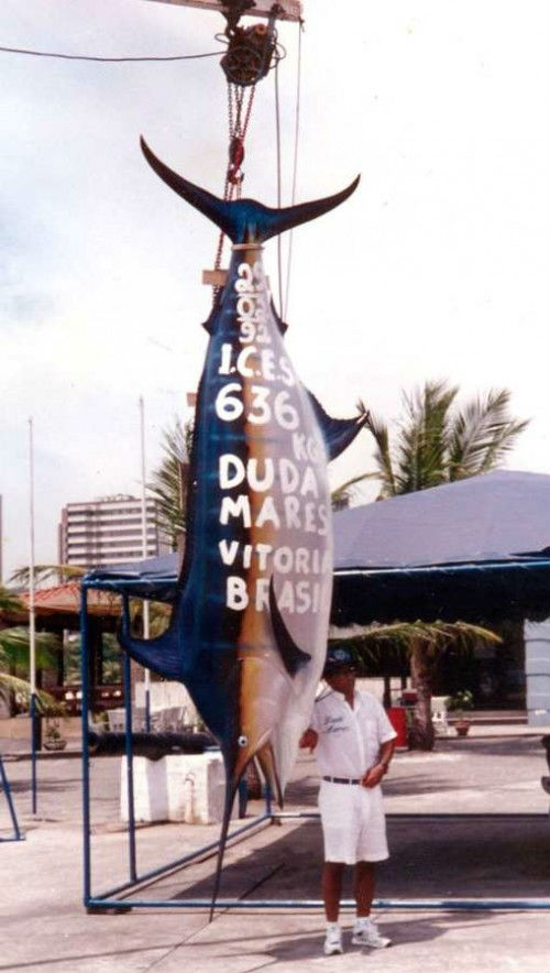 Рыбак достал огромную акулу