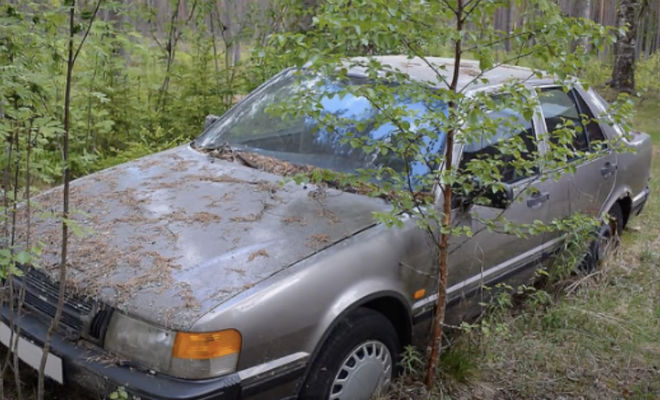 Нашли старые автомобили в лесу