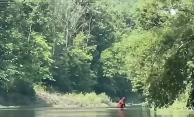 Турист на лодке снял на камеру существо, которое не было похоже на человека и брело по воде