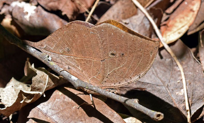 ������� ���������� �� �������� �� ����� �����, � ��� �������� ��������� �������� � ������: �����