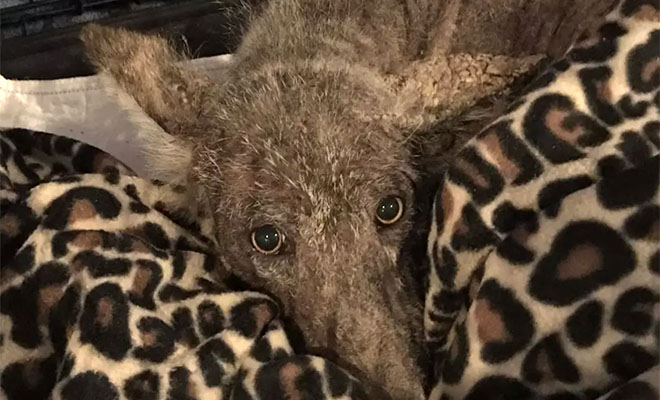 ������� ������� � ���� ����� � ����� �� �������� ������, ������� ��������. �� ������ �������, ��� ��� �� ������