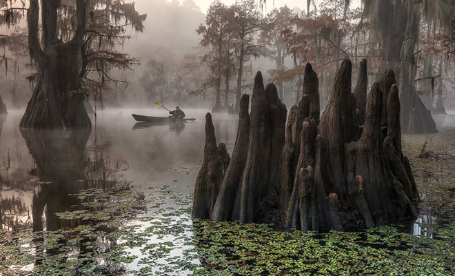  ����������� ������ ������: ���������� ���� � ���� �������� ������ ����, ��� ����� ������ ����� ������