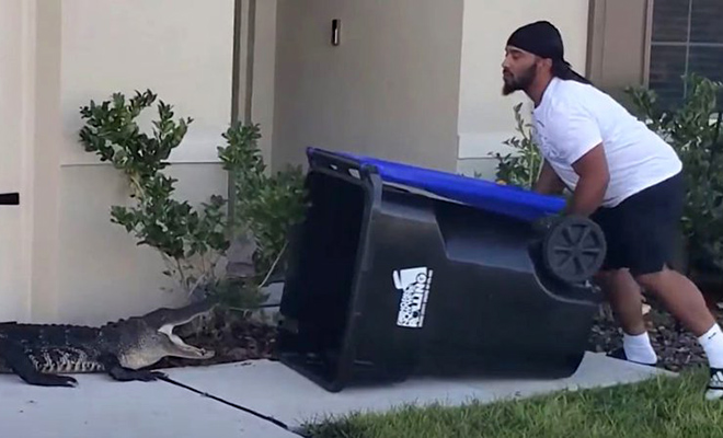 ������� ������ ��������� � ������ � ����� ������� ��� � ������� ��������� ����: �����