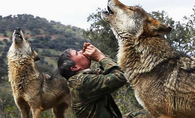 Испанца 12 лет воспитывали волки: он вернулся к людям, но за 50 лет так и не смог привыкнуть к цивилизации