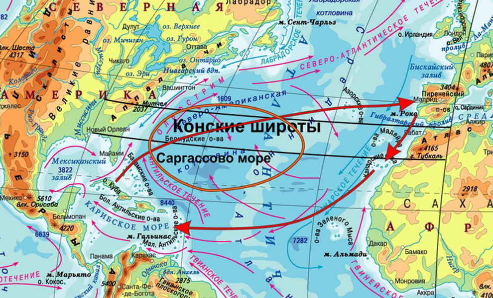 Море расположенное на северо востоке. Саргассово море границы на карте. Саргассово море на карте. Где находится Саргассово море на карте. Саргассово море расположение на карте.
