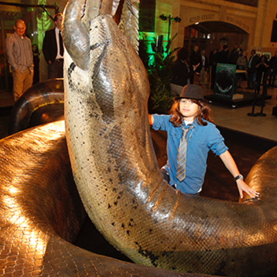 В 1959 году на реке джунглях на камеру попала змея-гигант, вдвое крупнее известных. Люди считают, что это была титанбоа