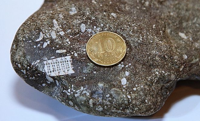 В руки ученых попал похожий на микрочип предмет, найденный внутри камня. Возраст находки оценивают в 250 миллионов лет