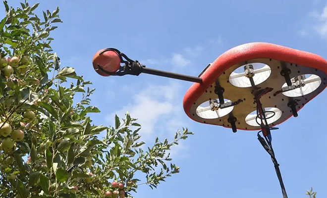 В Израиле собирают яблоки дронами: видео. По словам фермеров, они справляются лучше людей Здесь, сразу, корзины, фермером, посадок Беспилотники, качество, оценивают, плода, местоположение, проверяют, анализируют, захватом, мягким, оснащаются, вдоль, фрукты, садам, перемещаются, последовательно, Платформы