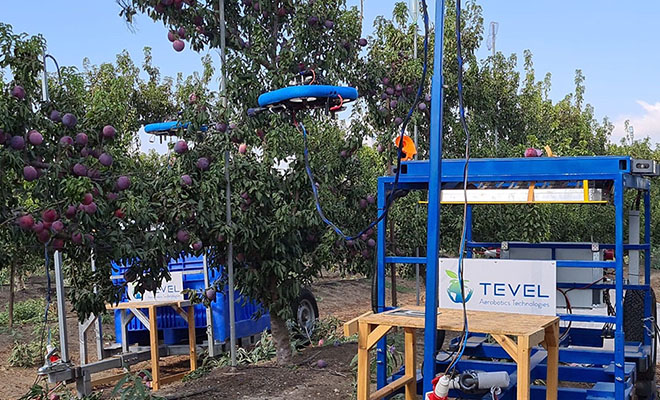 В Израиле собирают яблоки дронами: видео. По словам фермеров, они справляются лучше людей Здесь, сразу, корзины, фермером, посадок Беспилотники, качество, оценивают, плода, местоположение, проверяют, анализируют, захватом, мягким, оснащаются, вдоль, фрукты, садам, перемещаются, последовательно, Платформы