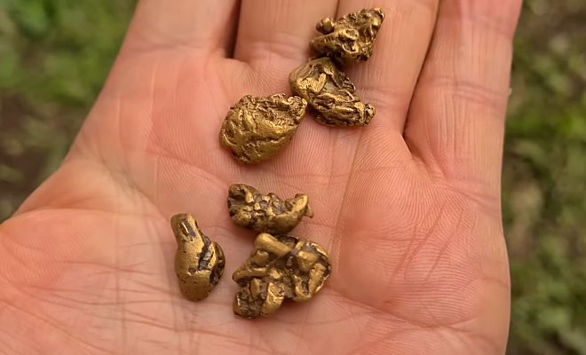 �������� �� �����