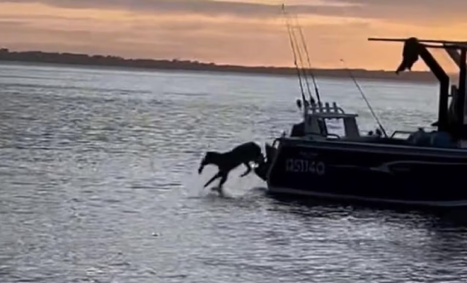 ���� �� ����� Sarah Isobel