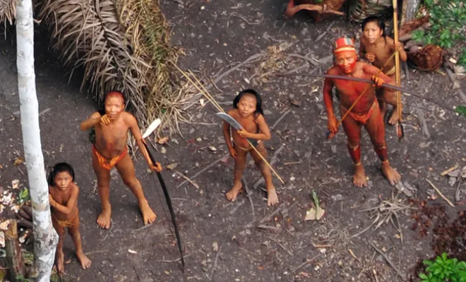 Фото Survival International