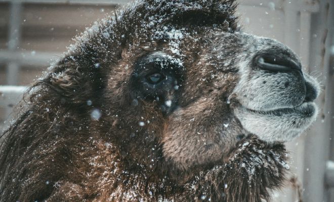 ����: Unsplash