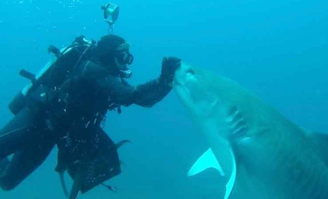 ���� �� �����