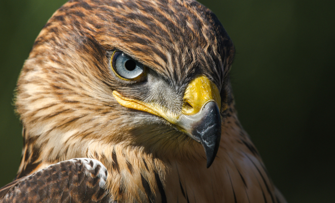 ����: Unsplash