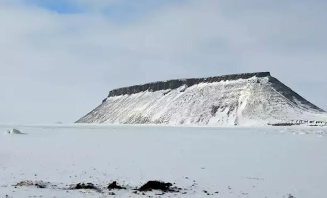 Кадр из видео @nypost