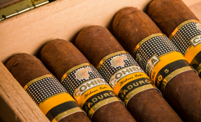 ����: Anıl Karakaya / Pexels