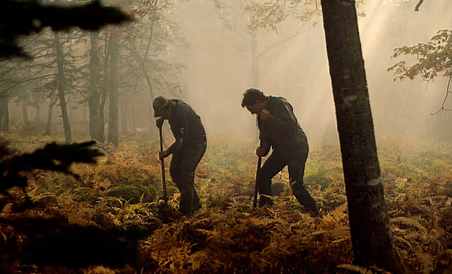 ��������� ������ ����� ������ �� ����������� �������, � ���������� ���� ��������, ������� ��� �� �����