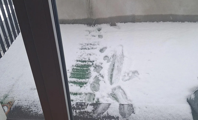 Фото: r/Weird / Reddit