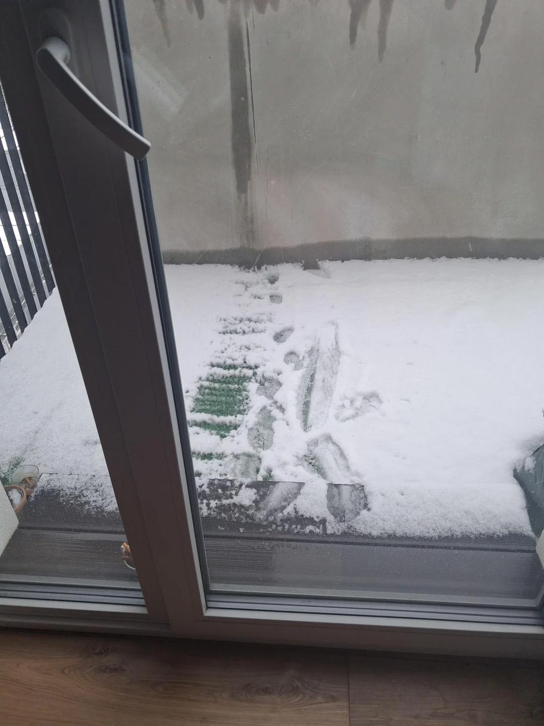 Фото: r/Weird / Reddit