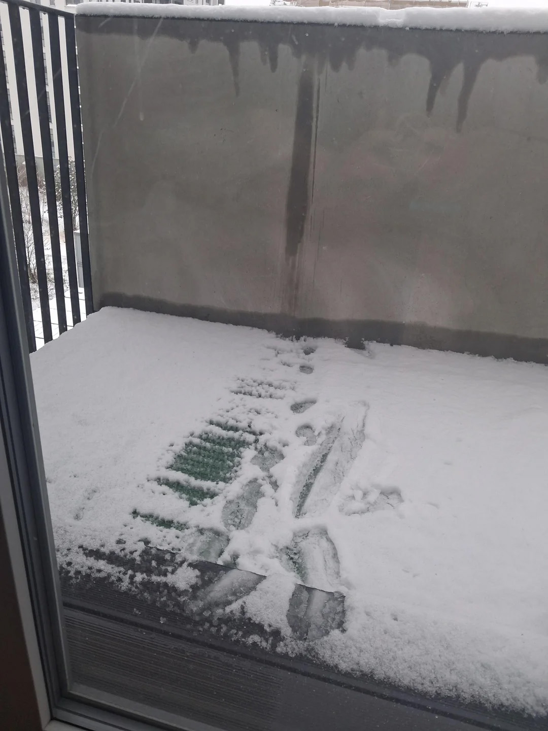 Фото: r/Weird / Reddit