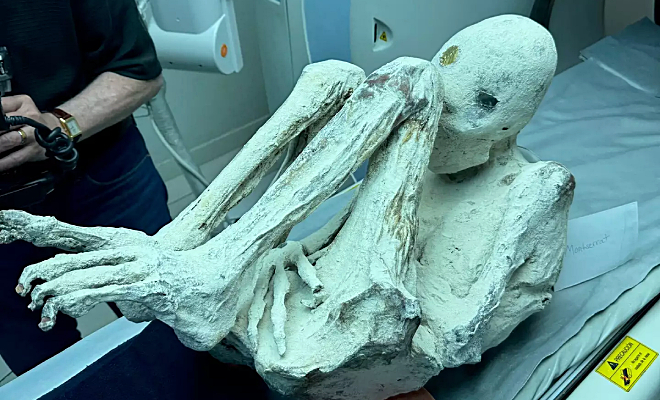 Фото: Jam Press/Joshua McDowell