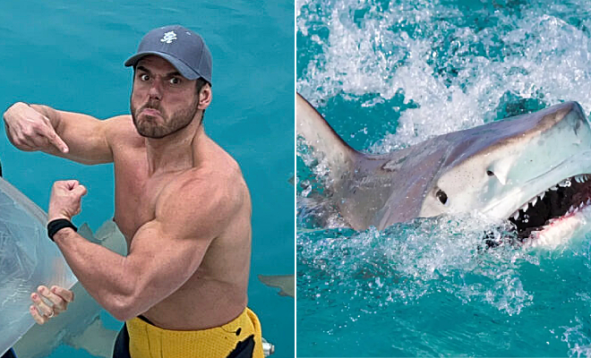 �������� �������� ����� ����� � ���� �� 24 ���� 41000 �������