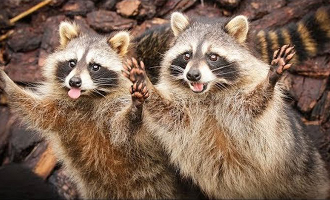 ����� ��������� ����� ����, ����� ������� �������� ������ � ������